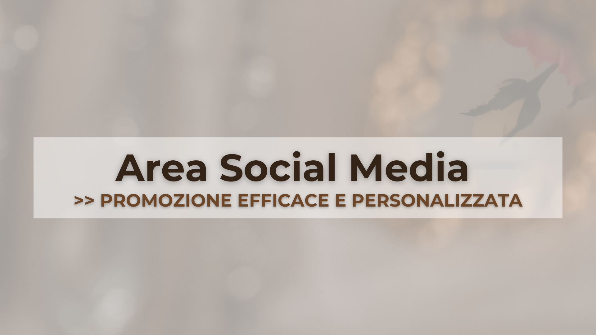 area social media consulenze