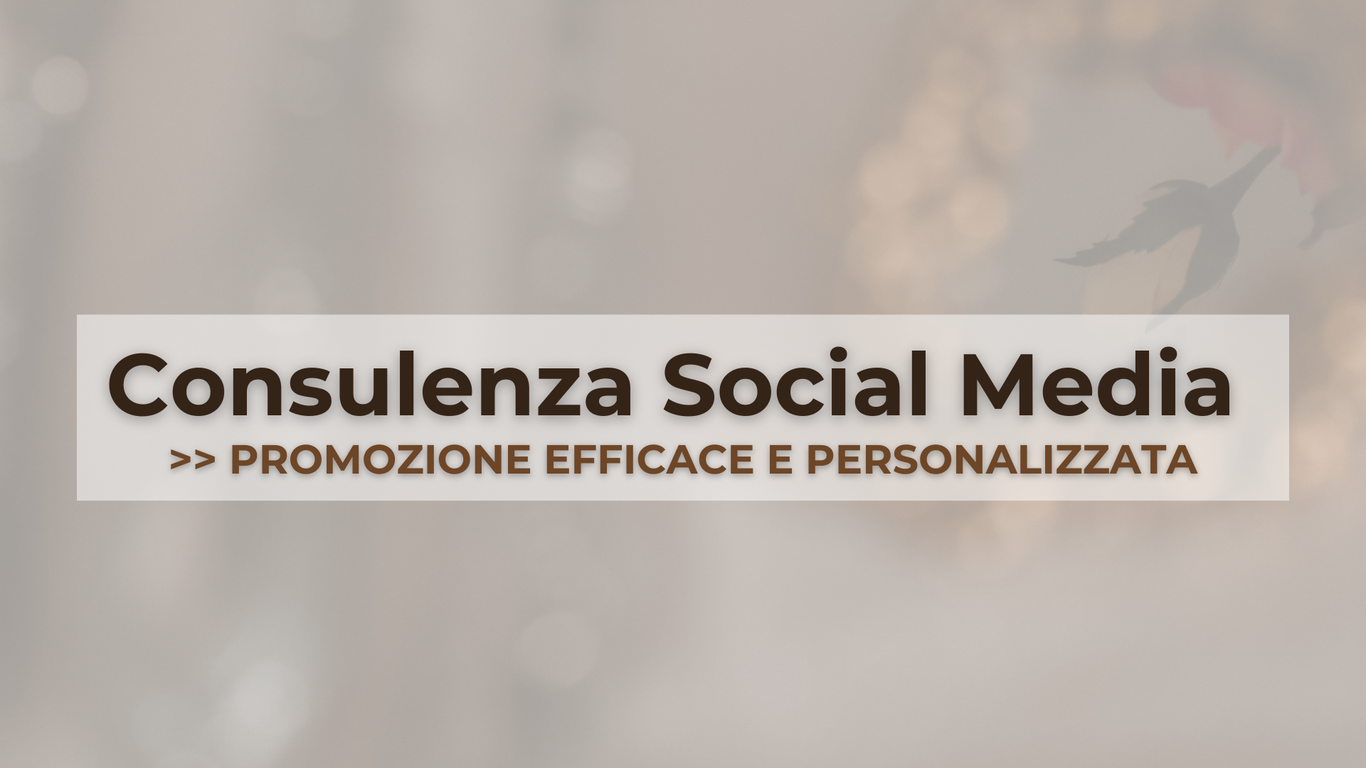 Consulenza per i social media